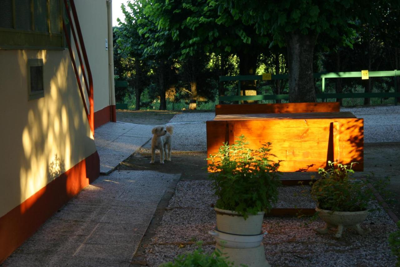 Villa Lilli 3 Ferrara Exterior foto